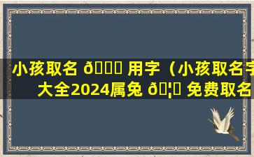 小孩取名 🐘 用字（小孩取名字大全2024属兔 🦍 免费取名）